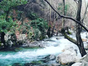 Kazdagi National Park