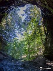 Tannery Falls