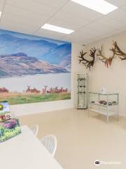 World of Deer Museum & Speciality Shop