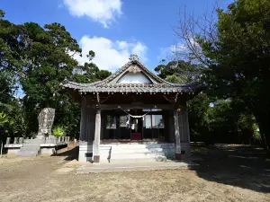 Sakai Shrine Big Sago Cycad