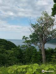 Oshinkosin Observation Deck