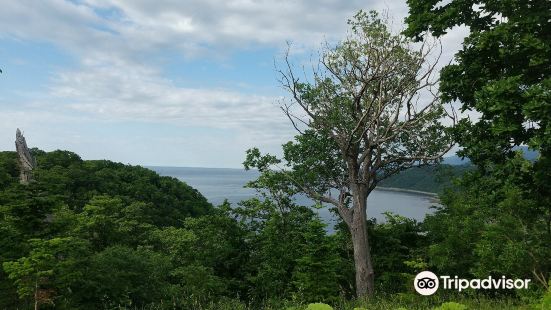 Oshinkosin Observation Deck