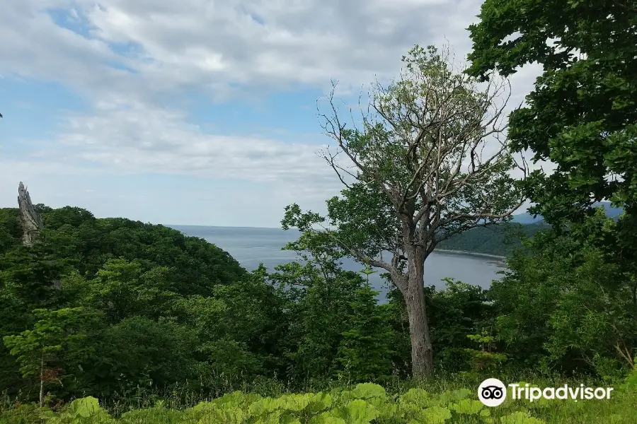 Oshinkosin Observation Deck