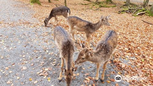 Wildpark Klaushof