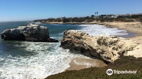 Natural Bridges State Beach