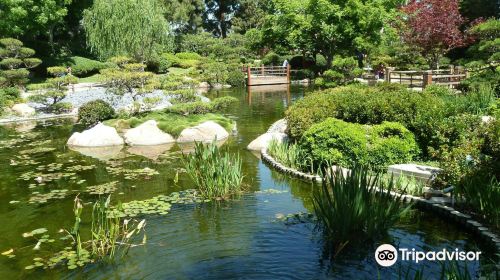 Earl Burns Miller Japanese Garden