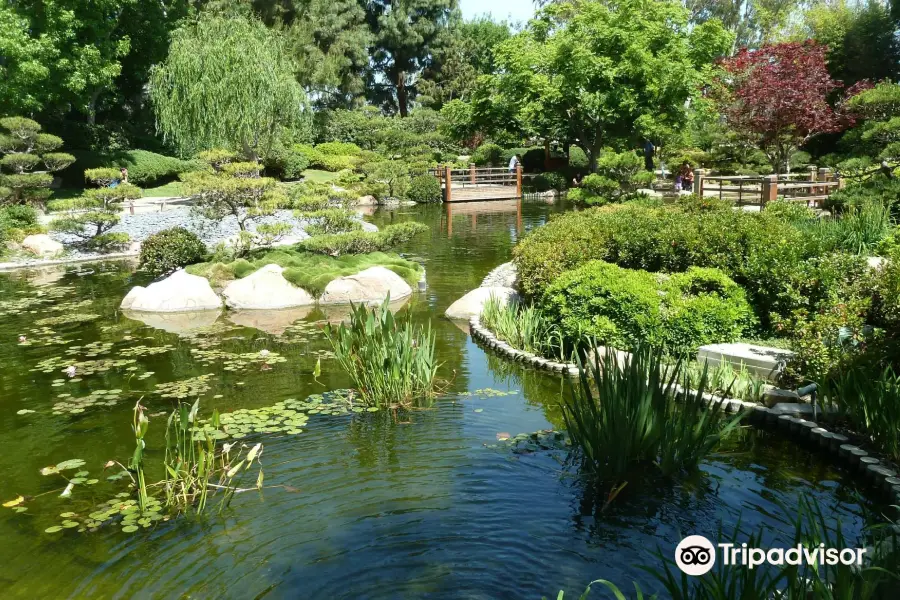 Earl Burns Miller Japanese Garden