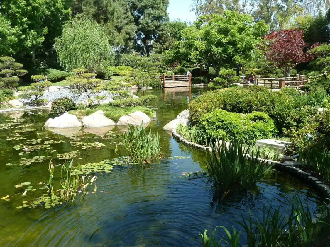 Hotels near Earl Burns Miller Japanese Garden