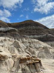 The Hoodoos