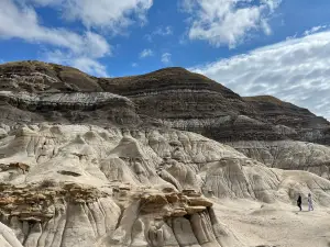 The Hoodoos