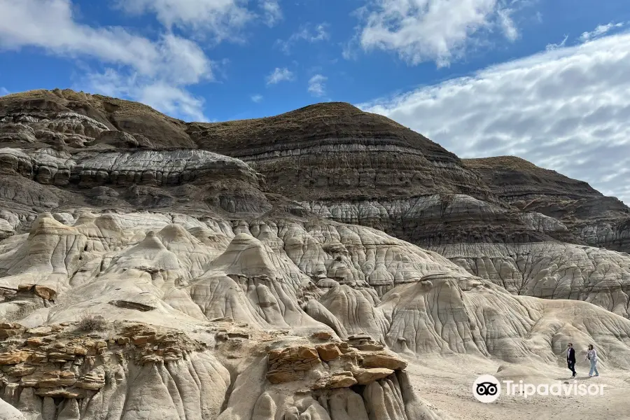 The Hoodoos