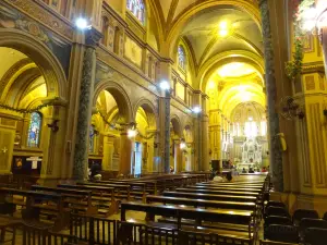 Metropolitan Cathedral Of San Sebastian - Ribeirão Preto