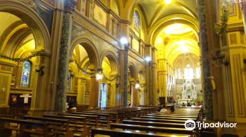 Metropolitan Cathedral Of San Sebastian - Ribeirão Preto