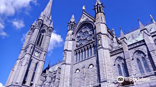 St. Colman's Cathedral, Cobh