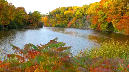 Durand Eastman Park