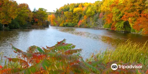 Durand Eastman Park