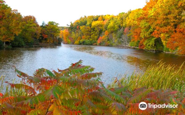Durand Eastman Park