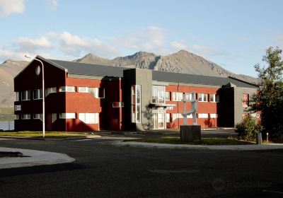 Safnahús Borgarfjarðar - Museum Library