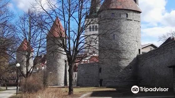 Asuur Keraamika Ceramics