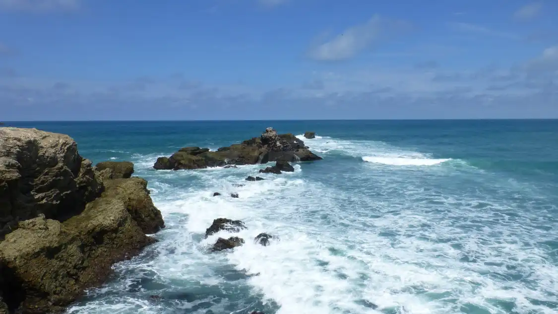 Hotels near Playa de Mar Bravo