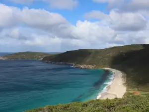 Shelley Beach