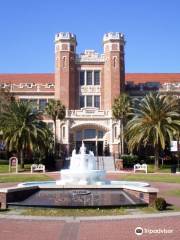 Universidad Estatal de Florida