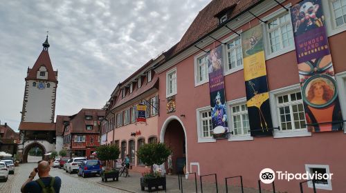 Narrenmuseum Niggelturm