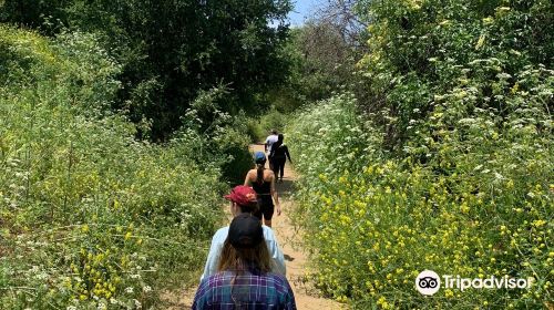 Carbon Canyon Regional Park