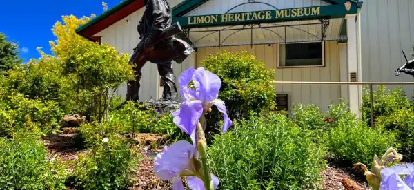 Hotels in Limon