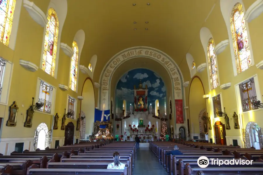 Parish National Shrine of the Immaculate Heart of Mary