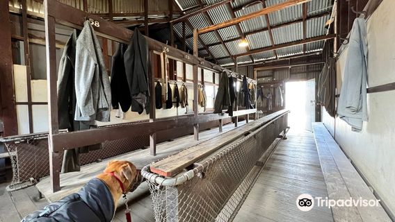 Central Deborah Gold Mine