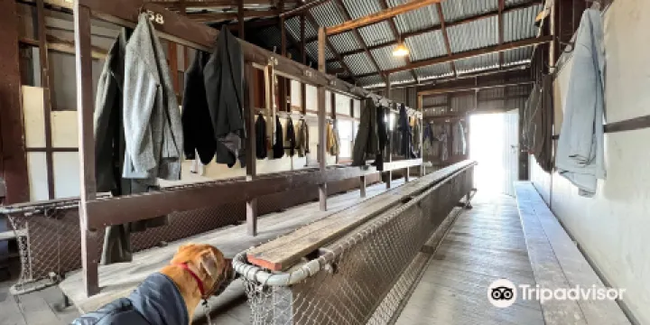 Central Deborah Gold Mine