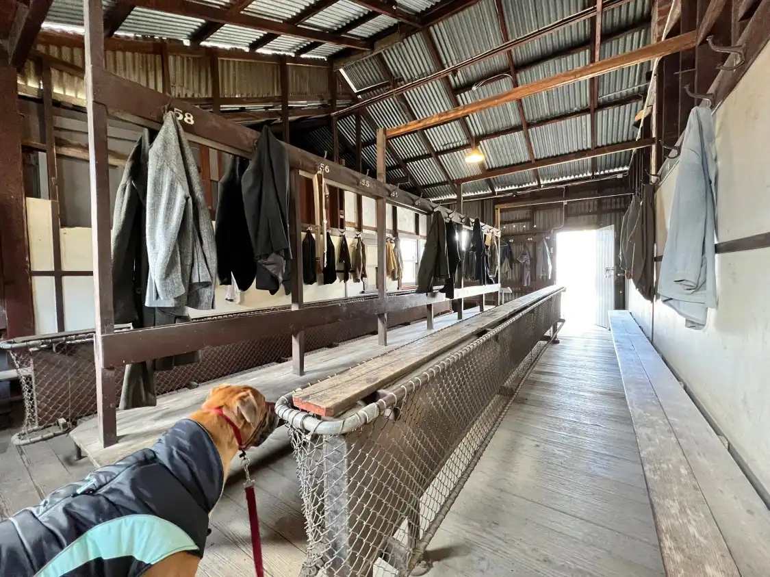 Hotels near Central Deborah Gold Mine