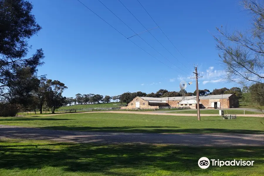 Bungaree Station