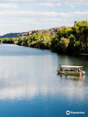 Guluyambi Cultural Cruise