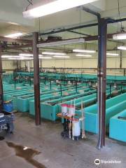 Linesville Fish Hatchery