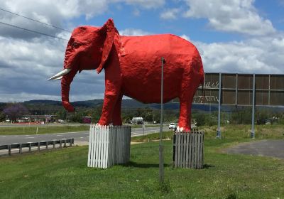 The Big Red Elephant