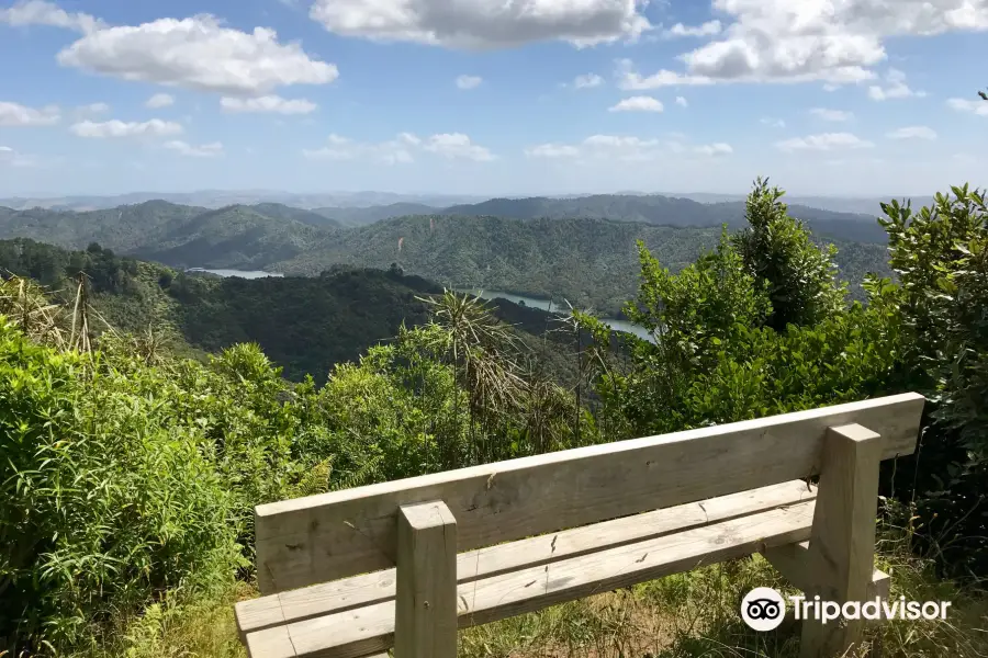 Upper Mangatawhiri Reservoir