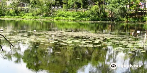 布拉德利帕默州立公园