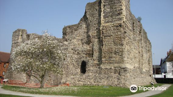 Leeds Castle + White Cliffs of Dover + Canterbury Cathedral + Canterbury Castle one-day tour