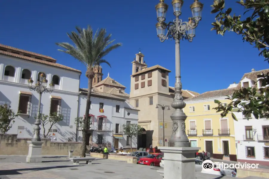 Plaza Coso Viejo