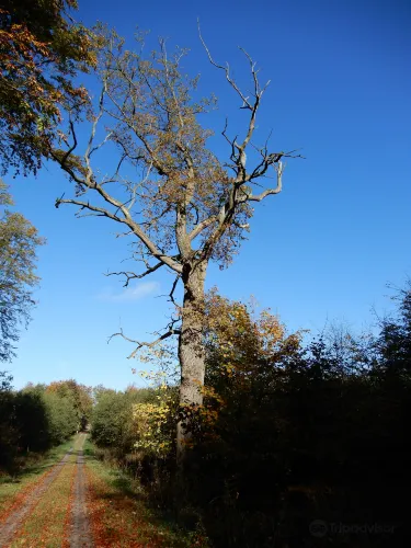 Gmina Ustronie Morskie