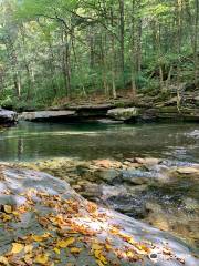 Peekamoose Blue Hole