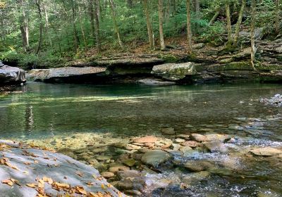 Peekamoose Blue Hole