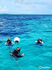 DiveTime Abaco