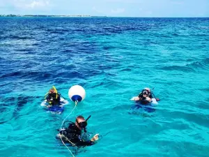 DiveTime Abaco