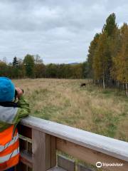 Norwegian Moose Center