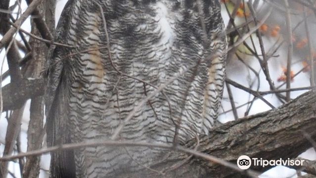 Wintergarden Nature Preserve