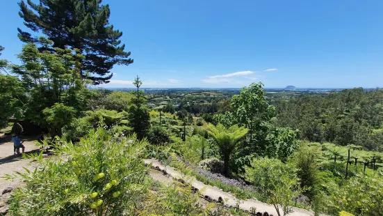 Te Puna Quarry Park & venue 'The Gallery'