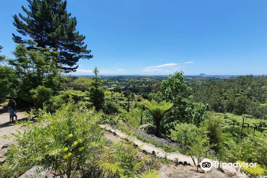 Te Puna Quarry Park & venue 'The Gallery'